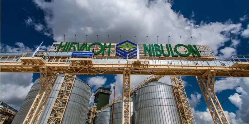 Оптимізм під час війни. Нібулон визначився з інвестиціями в&nbsp;Україну на&nbsp;наступний рік