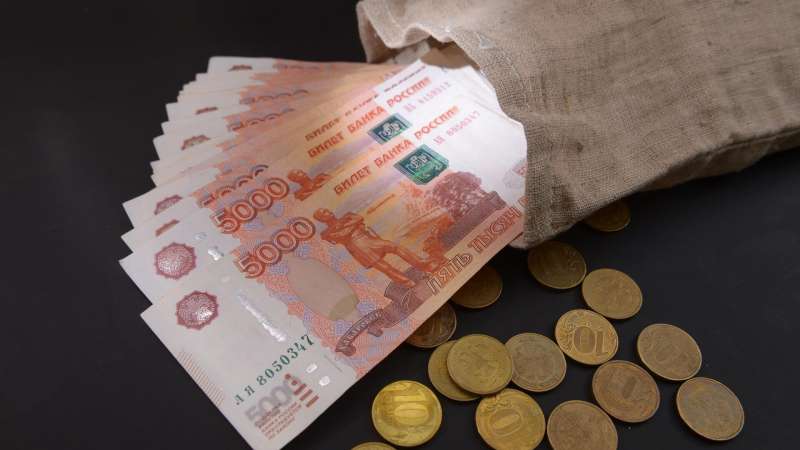 В Госдуме оценили перспективы сохранения наличных в обороте